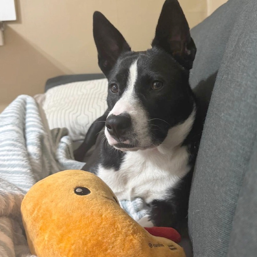 Aphrodite — thumbnail 5