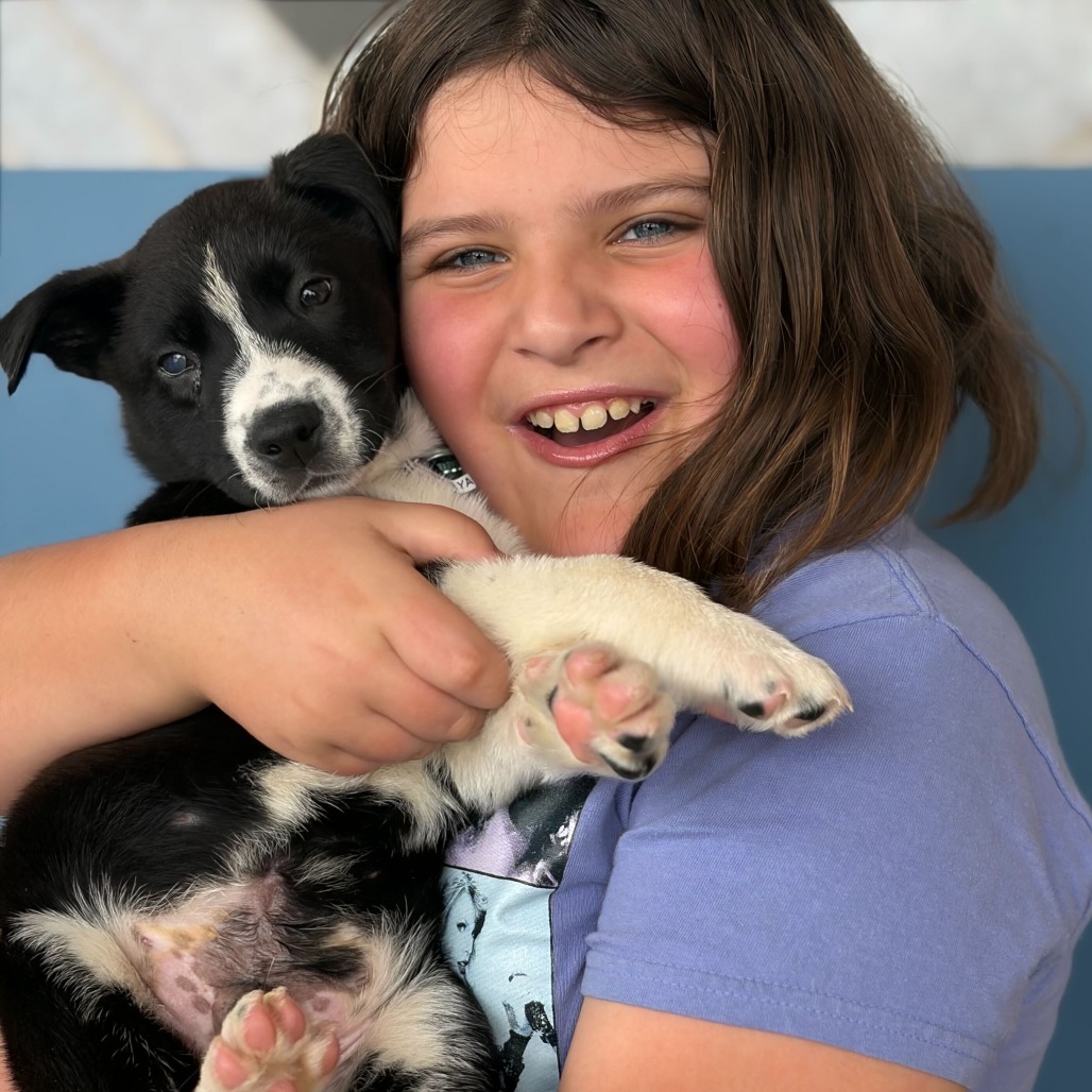 Praline — thumbnail 2