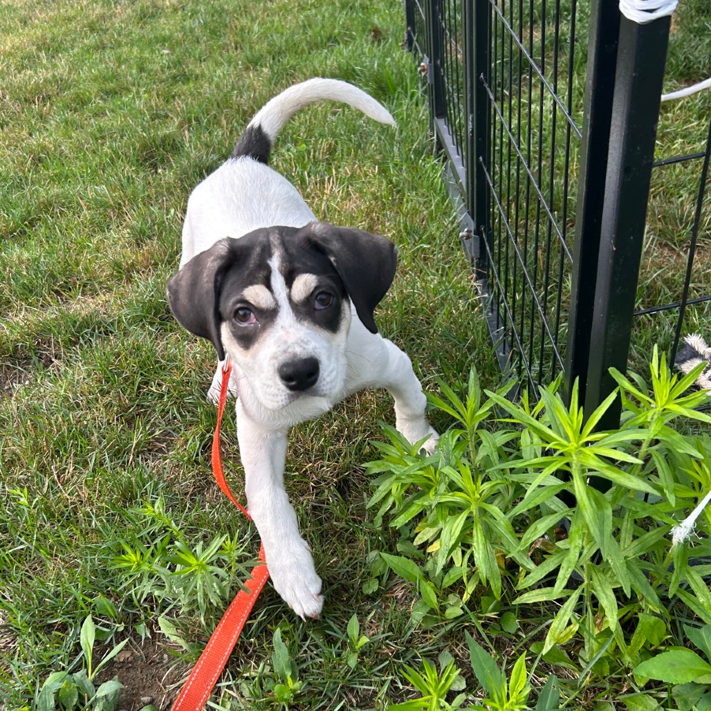 Tracker, photo 8