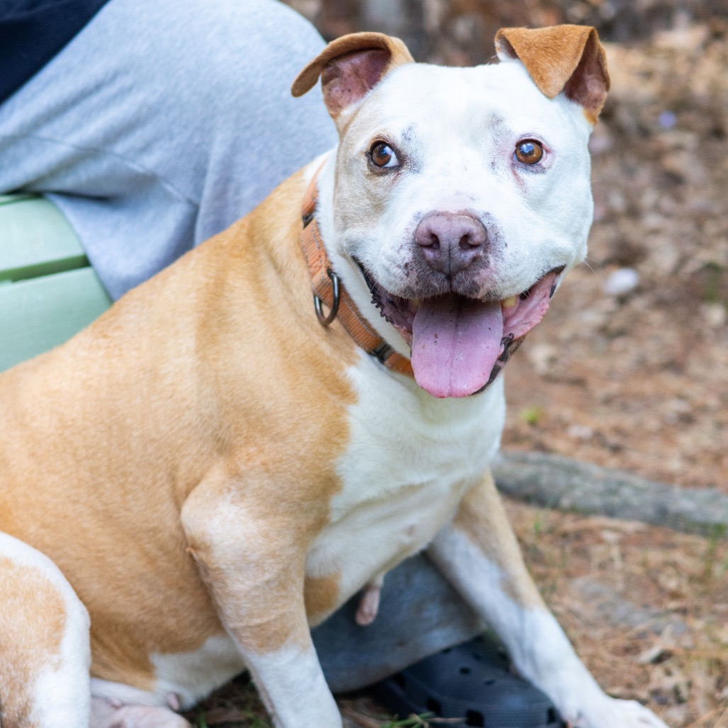 Vinnie, additional photo