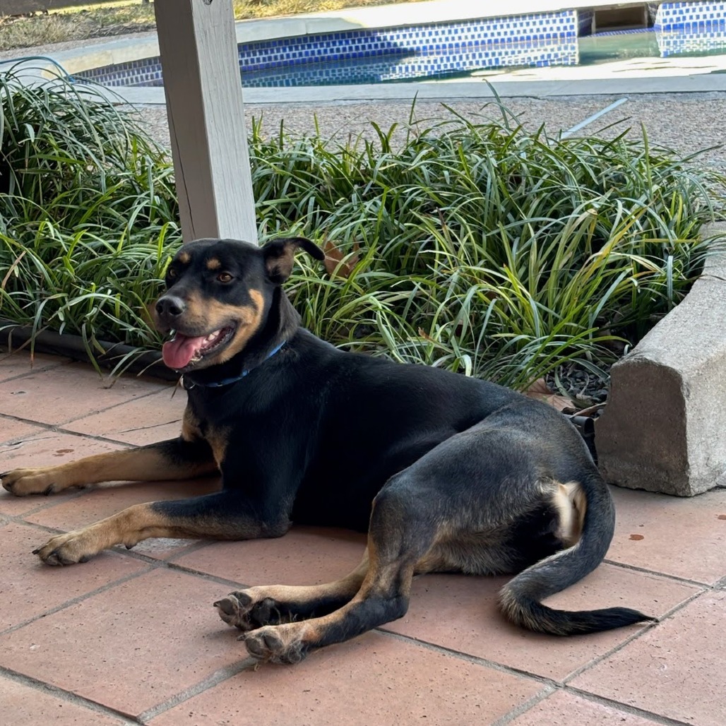 Rumble — thumbnail 7