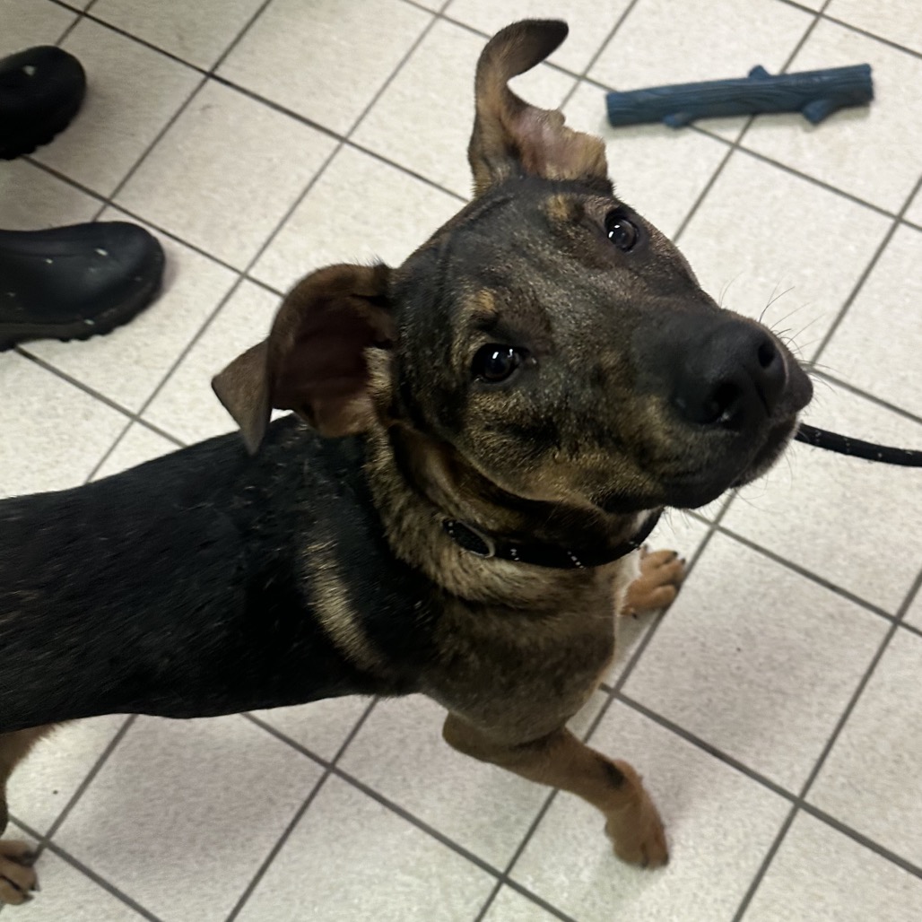 Asher — thumbnail 5