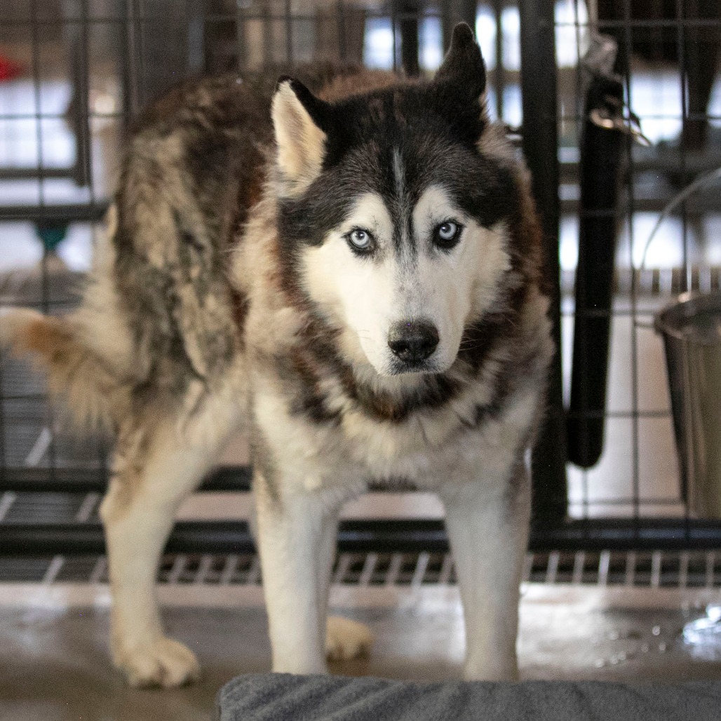 Oliver (F26-09), photo 14