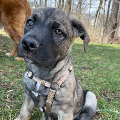 S'more — thumbnail 3