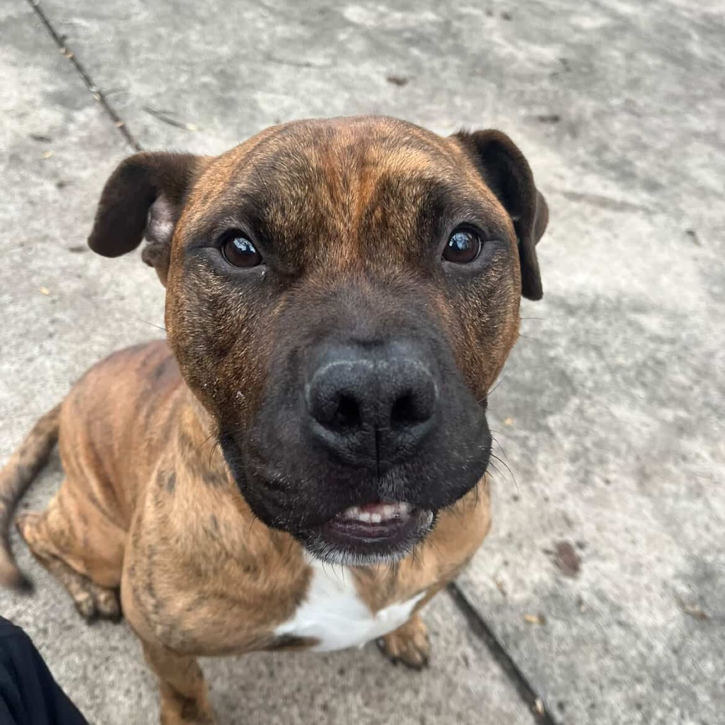 Lago — thumbnail 4