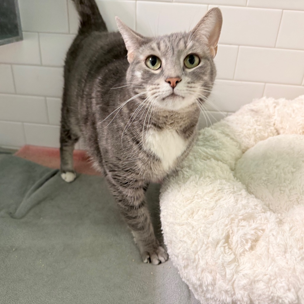 Photo of Maya and Bella 4