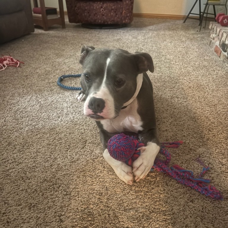 Sherman--In Foster, photo 10