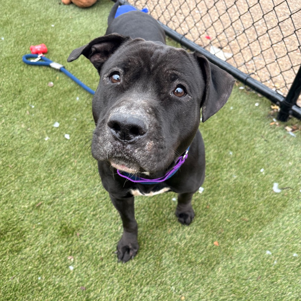 Fleet — thumbnail 3