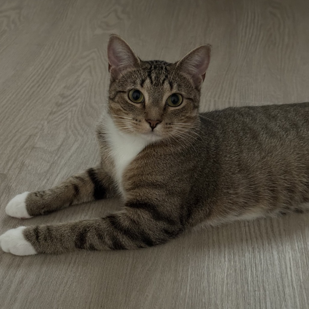 Juliette, photo 9