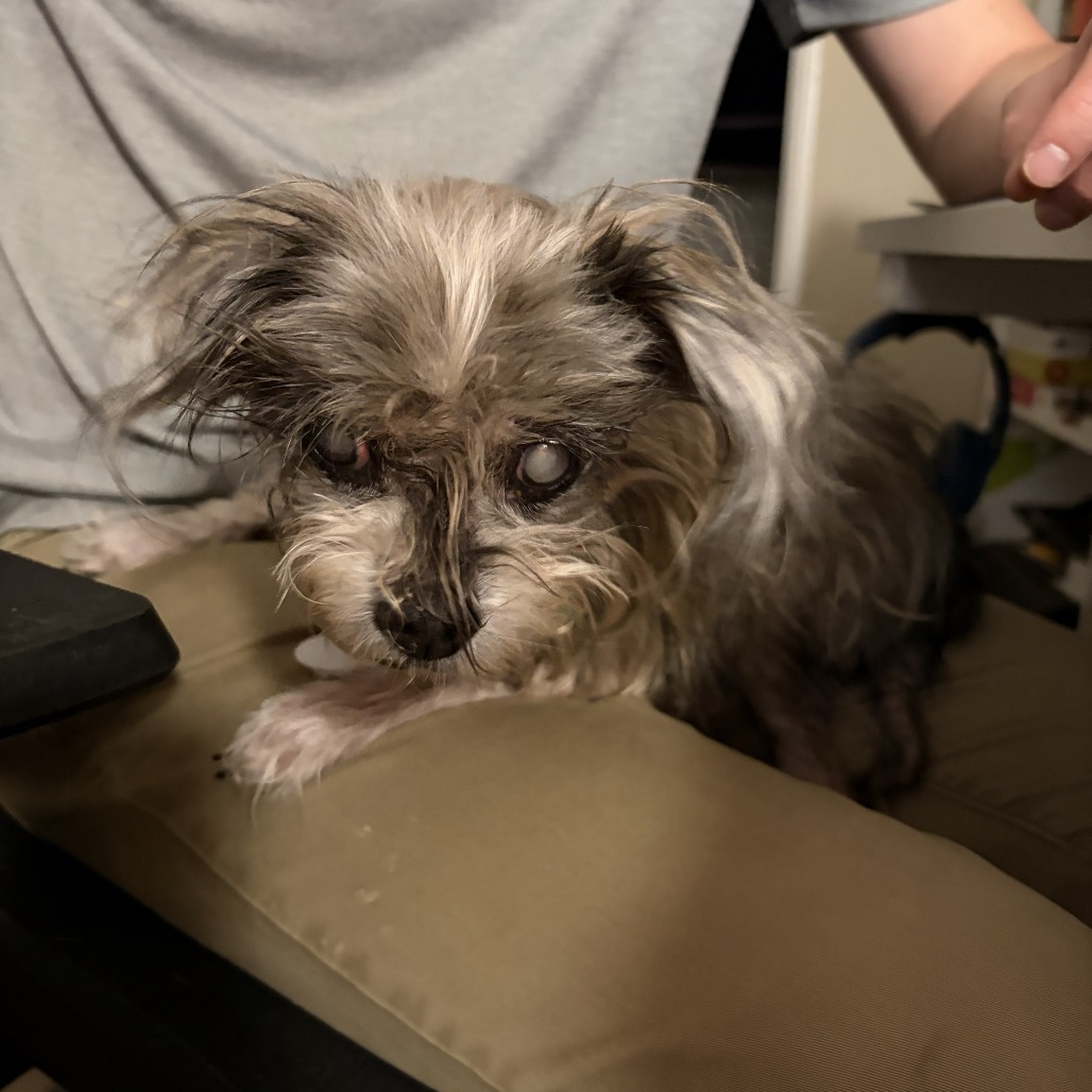 Lillie Marie, photo 9