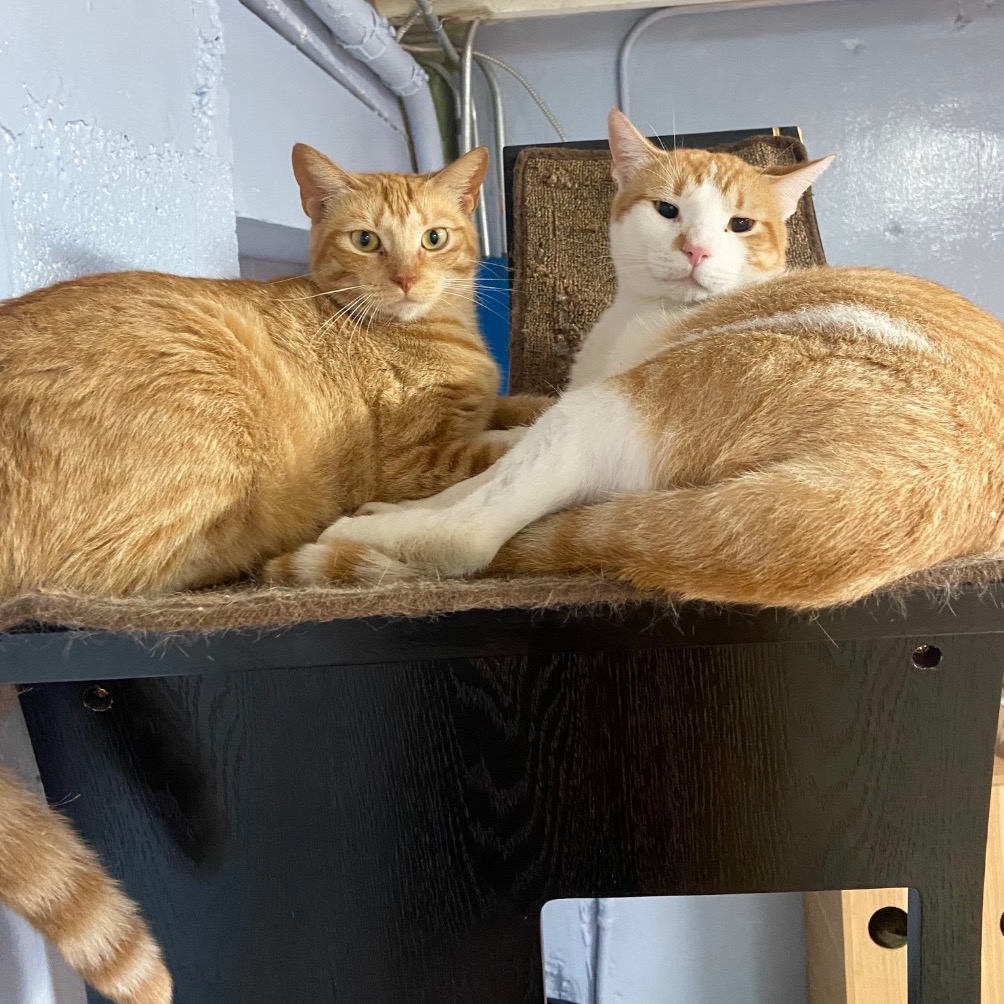 Full body shot of Bonnie