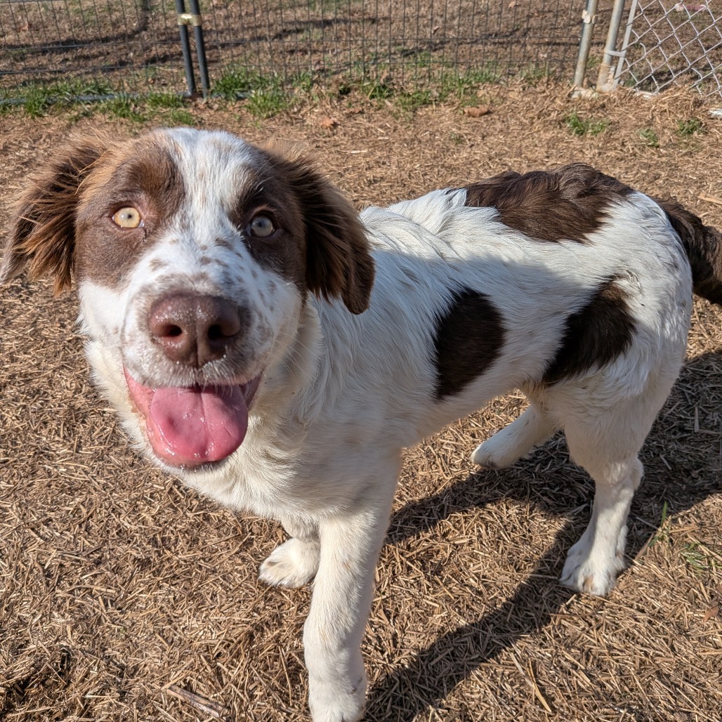 Sundance — thumbnail 3