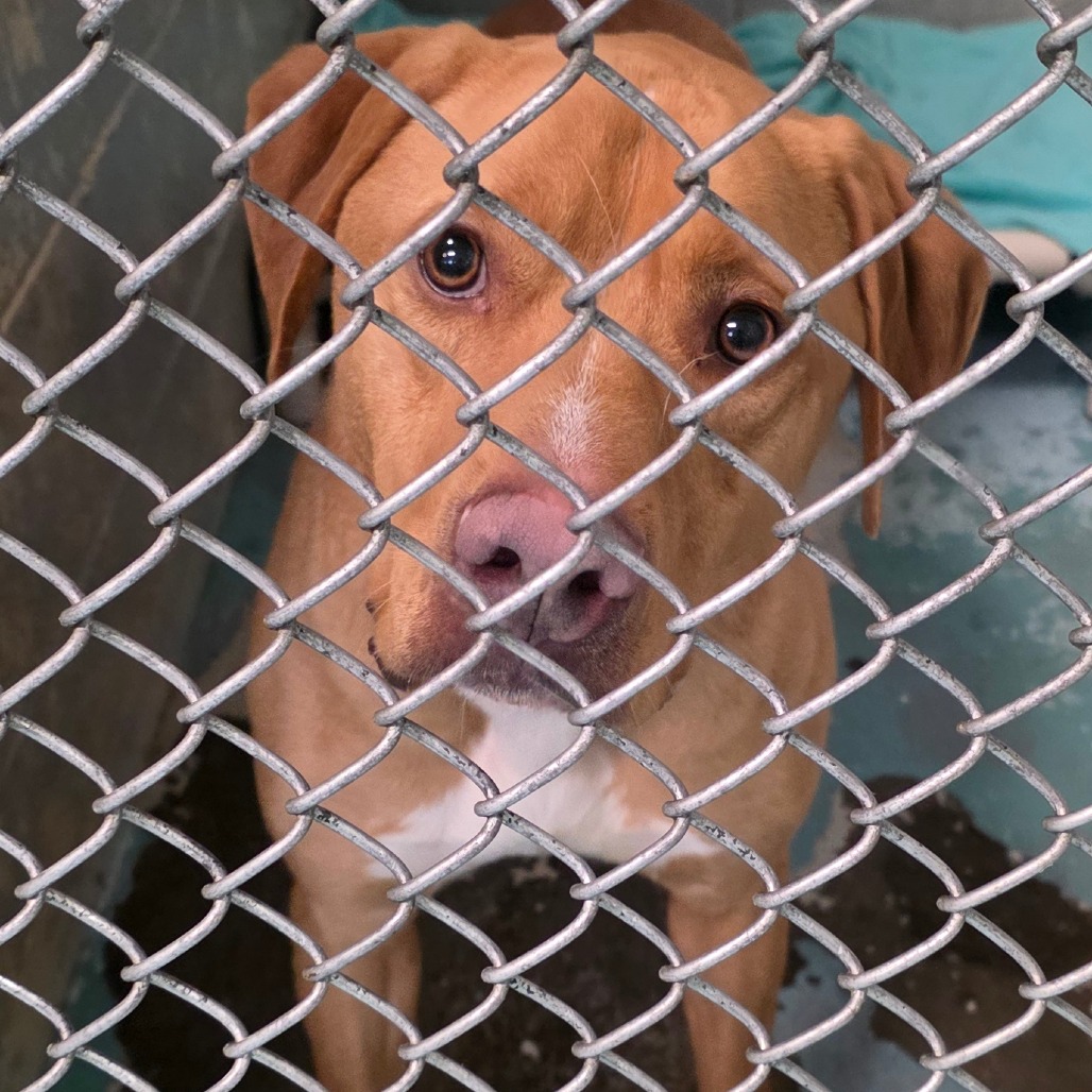 Miles — thumbnail 2