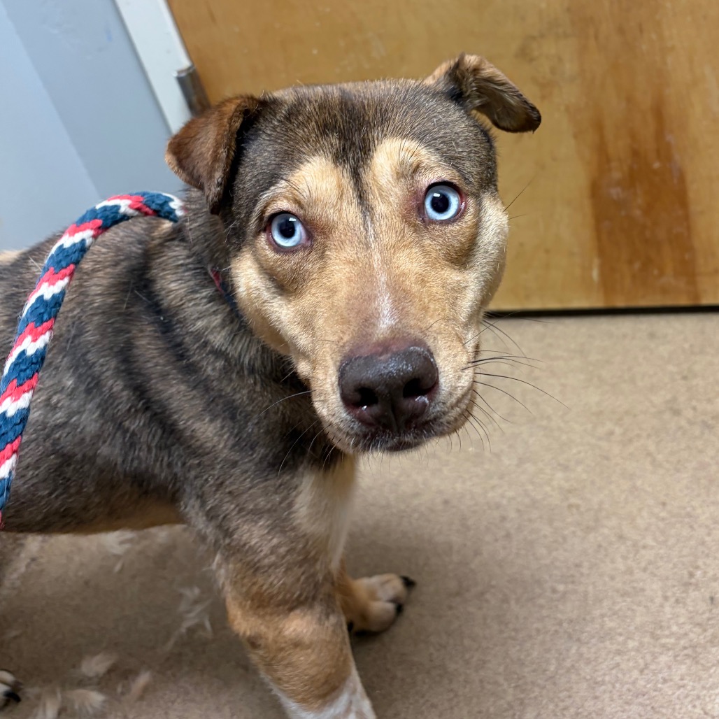 Wendy — thumbnail 6