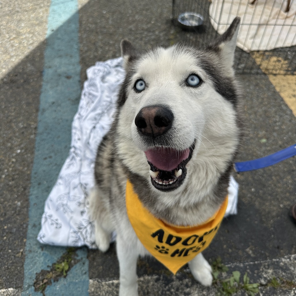 Echo — thumbnail 2