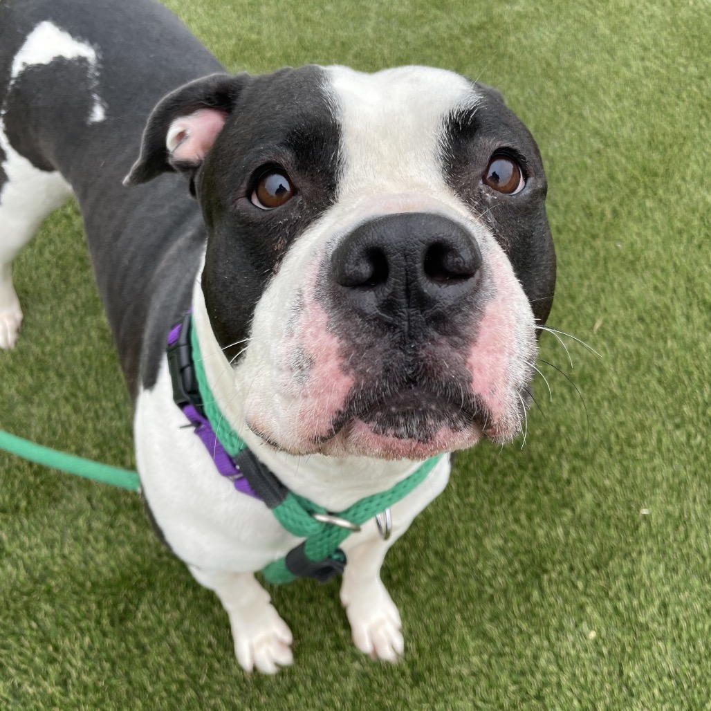 Ellie — thumbnail 2