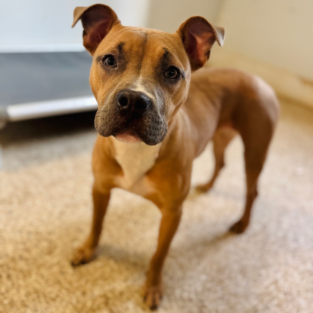 Tink — thumbnail 2