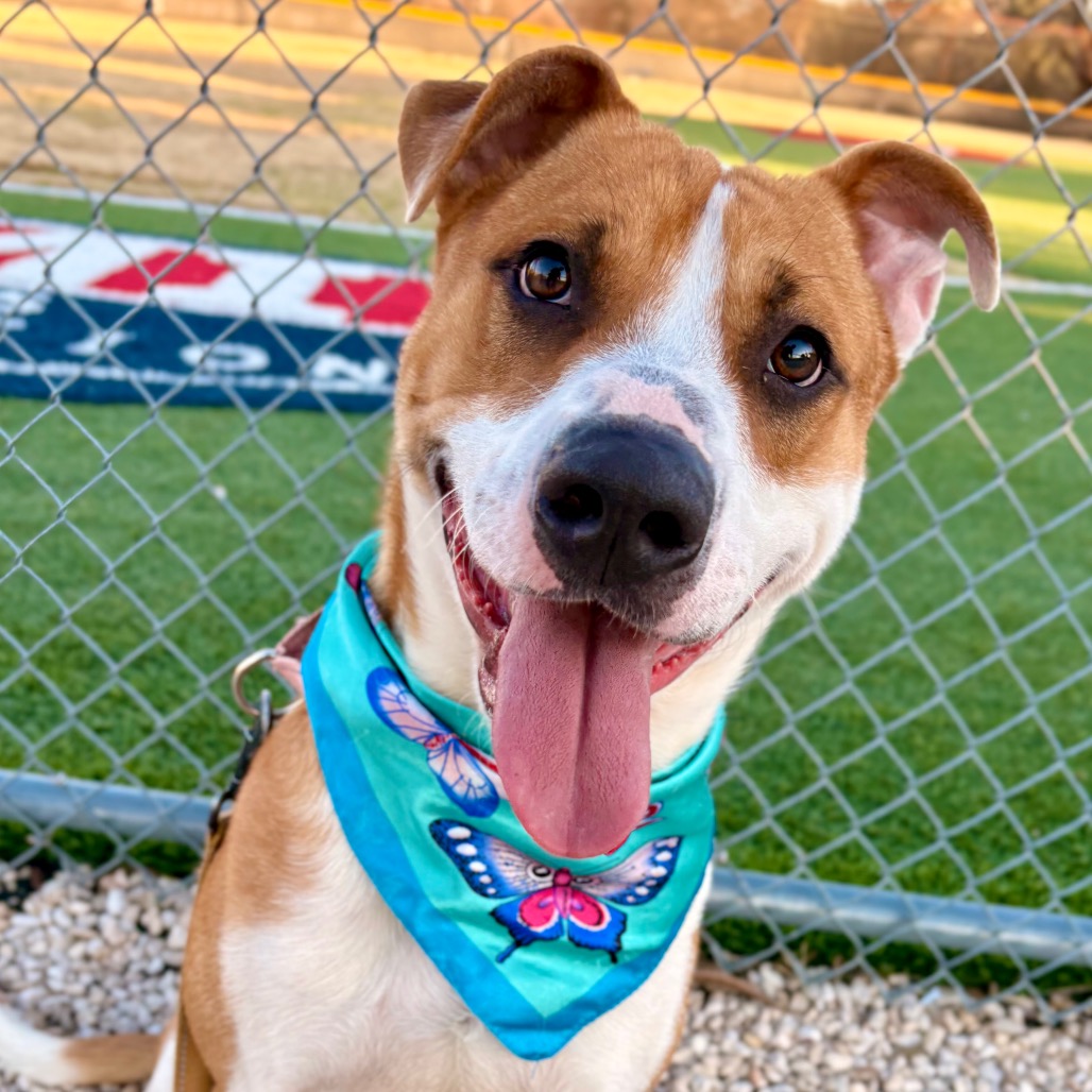 Jason — thumbnail 10