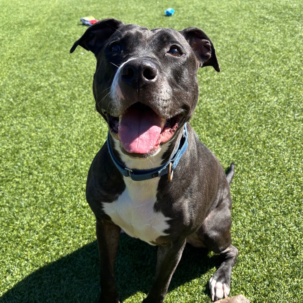 Photo of Ygritte  10