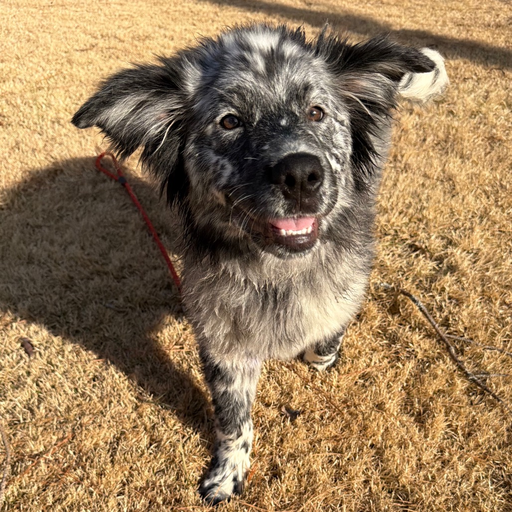 Lotty — thumbnail 5