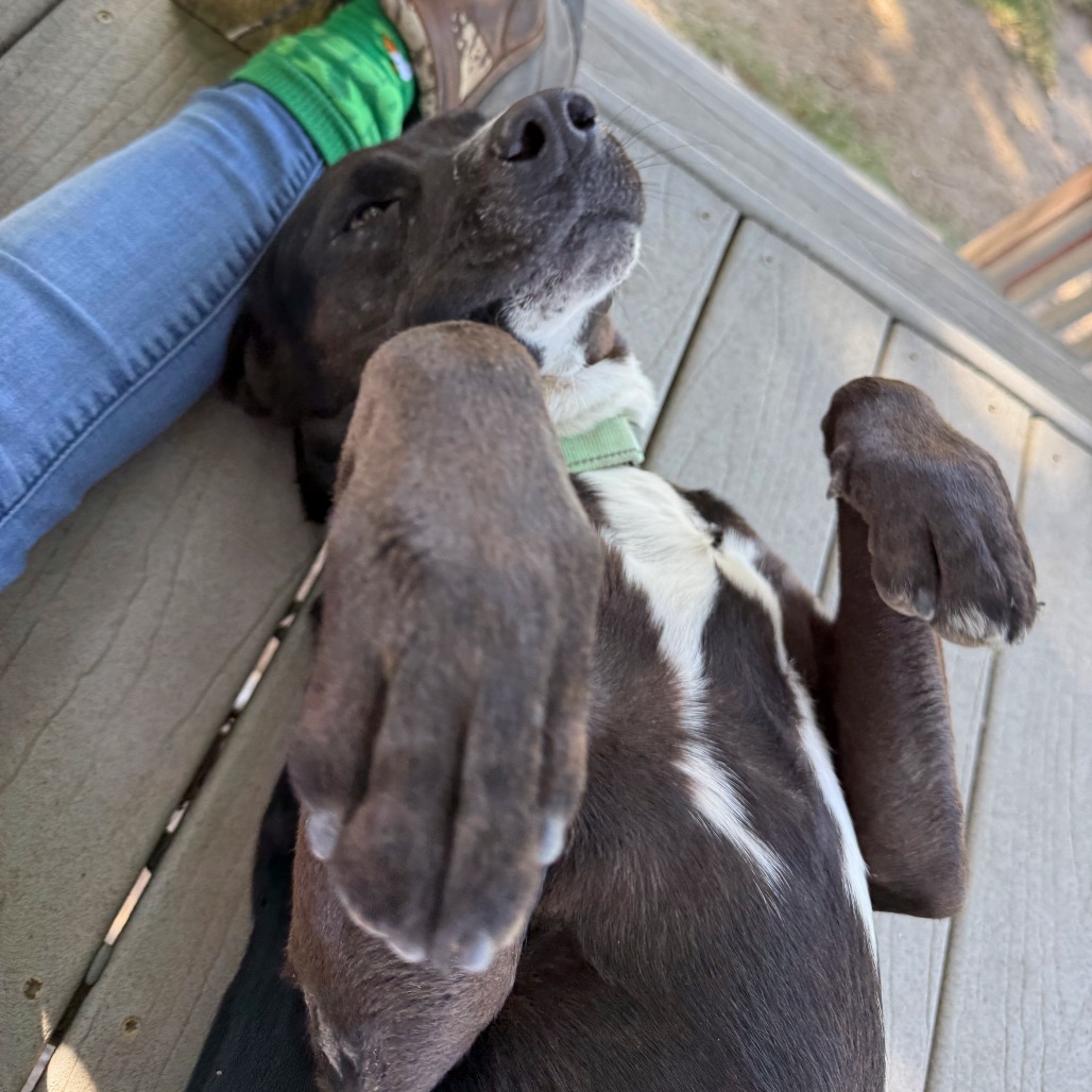 Casper, photo 8