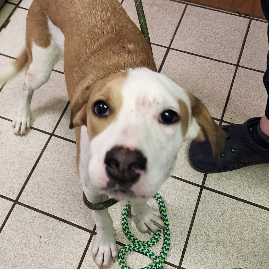 April — thumbnail 2