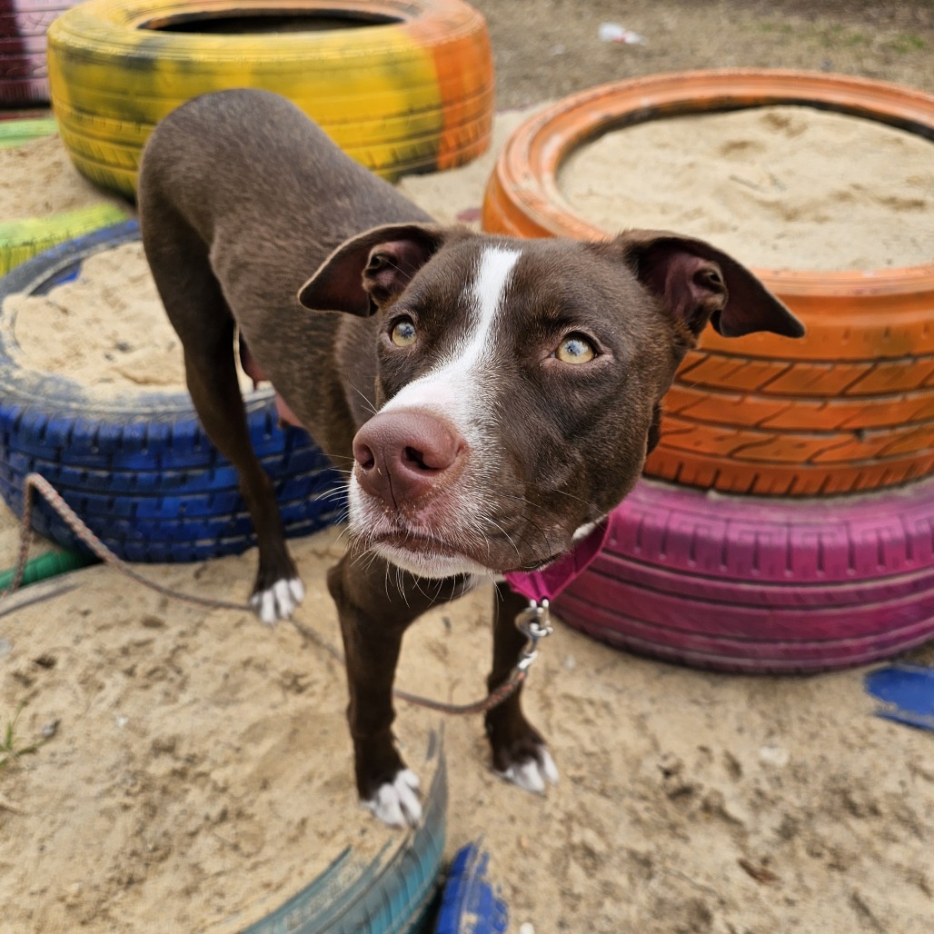 Sandy Seashore — thumbnail 2