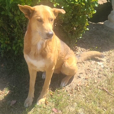 Zeus, photo 4
