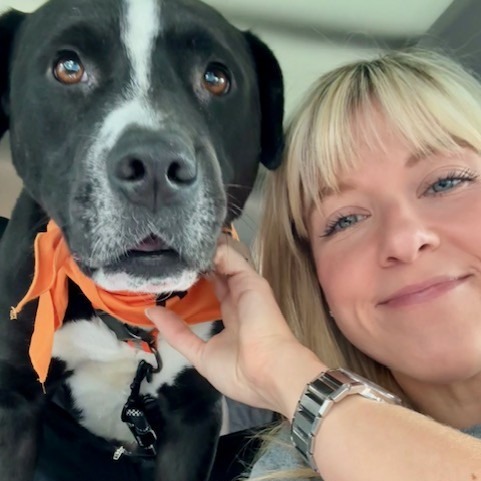 Loaf — thumbnail 5