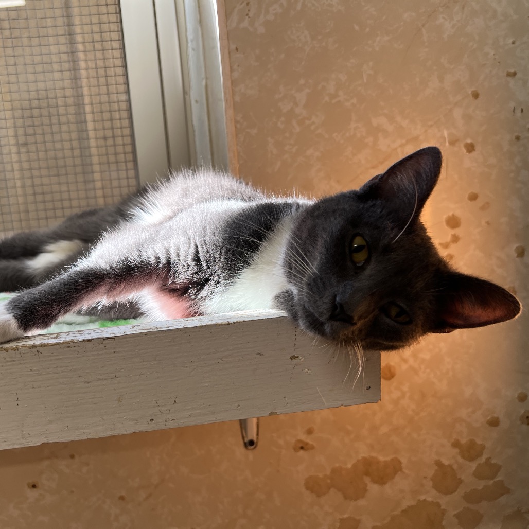 Ted, photo 6