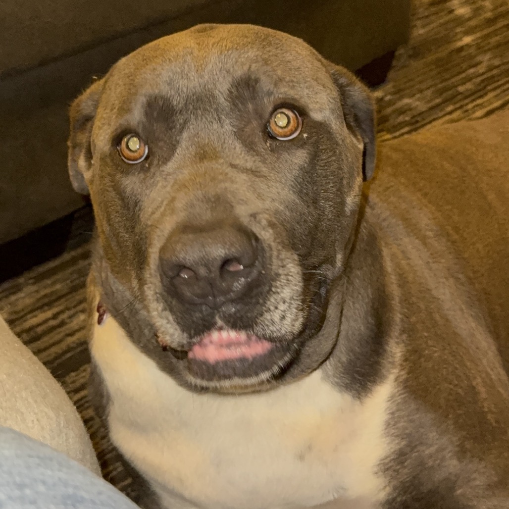 Big Luna, photo 17