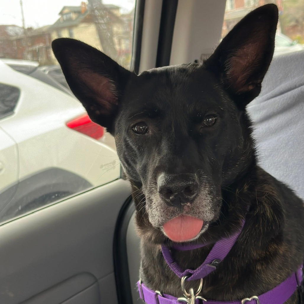 Photo of Catalina 22