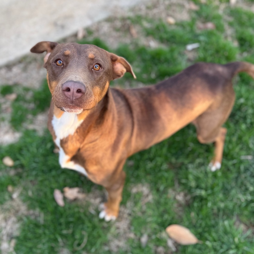 Lexie — thumbnail 4