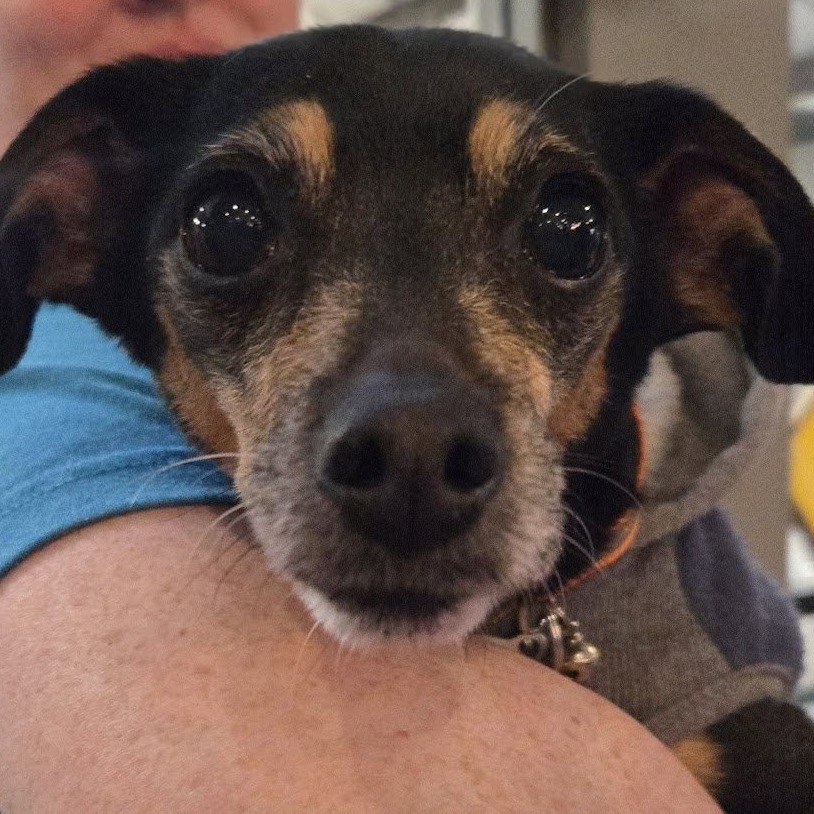 Peggy, photo 16