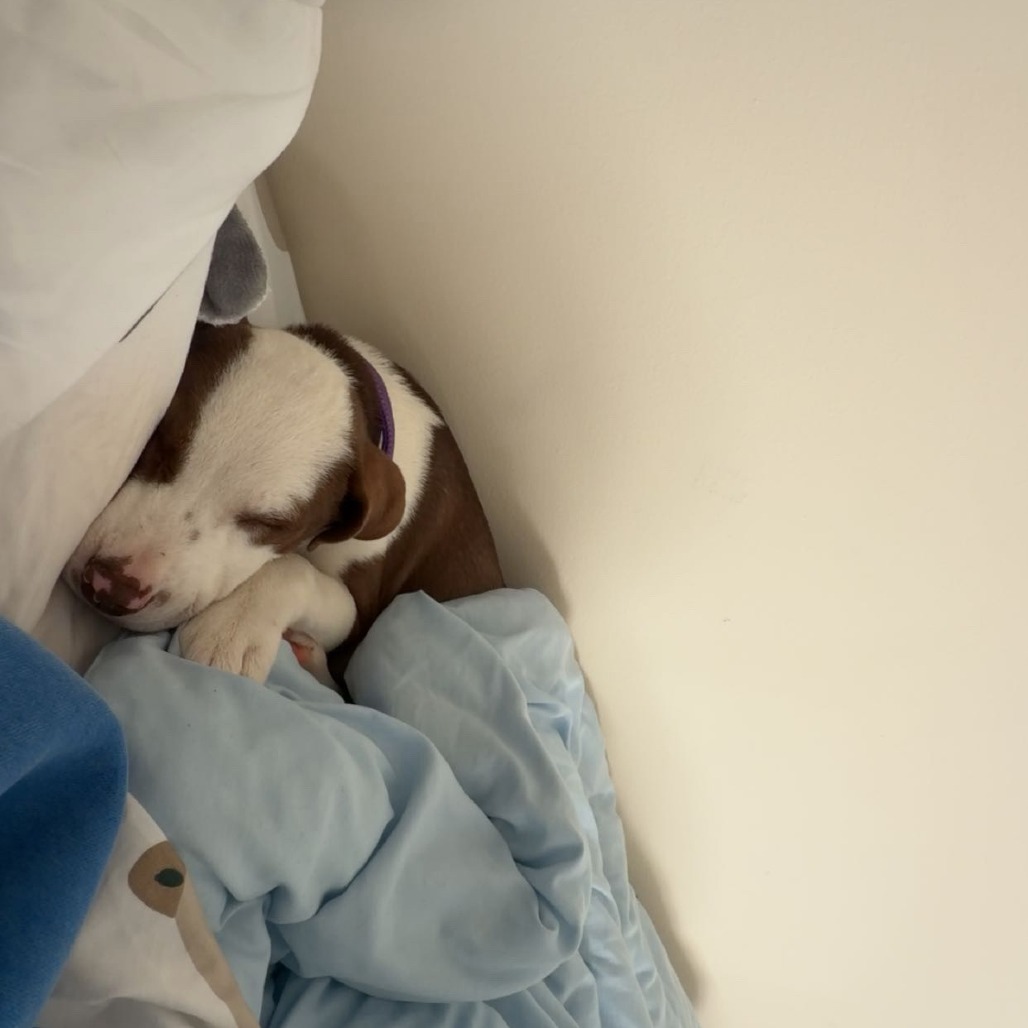 SLEEPY, photo 7