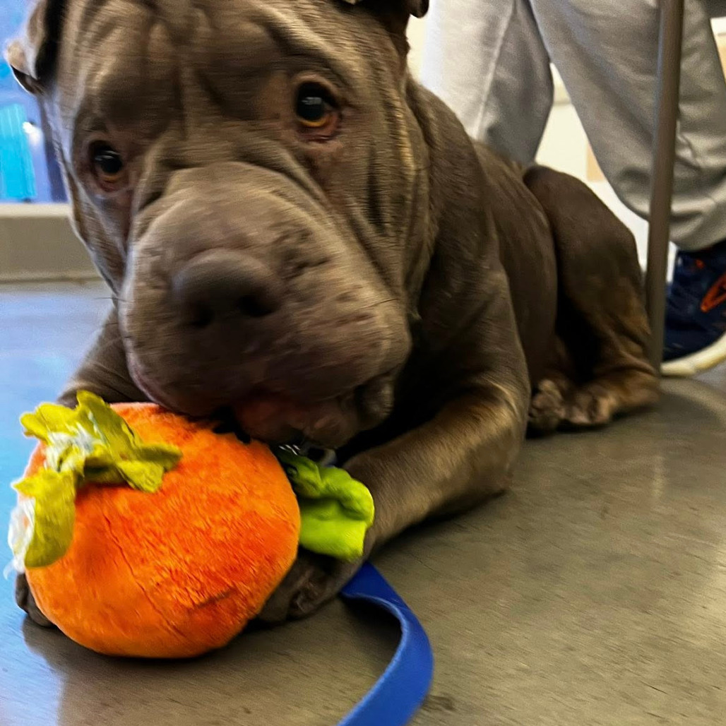 Photo of Gwendolyn  8