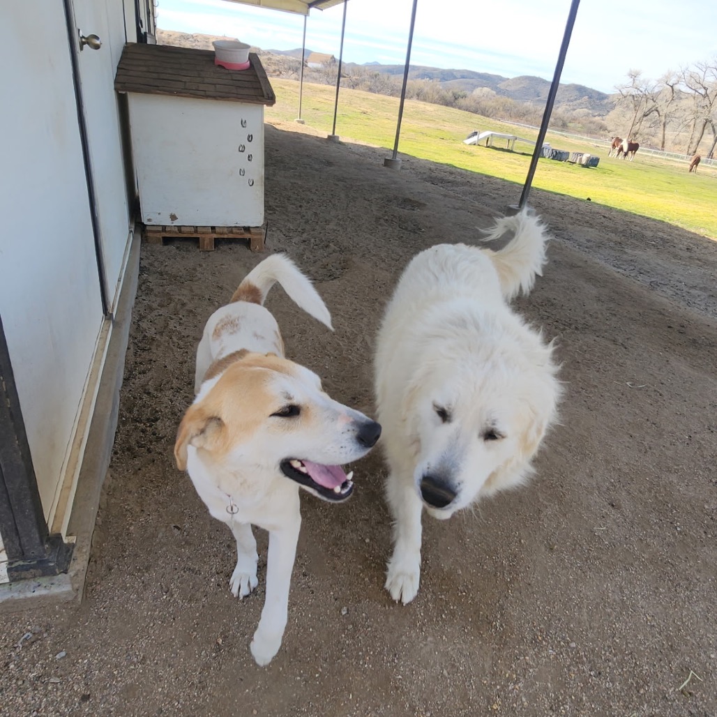 Colby (Courtesy Listing) — thumbnail 4