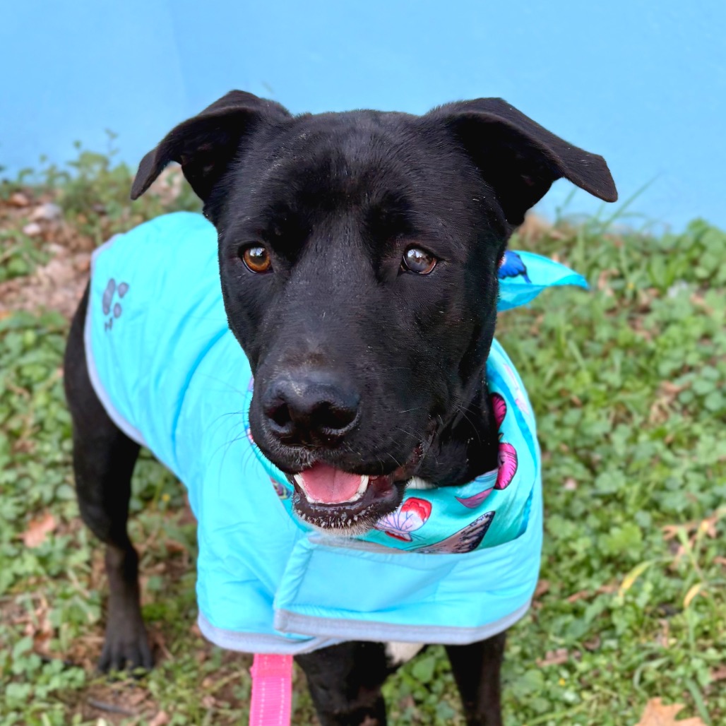 Celebrity Sighting — thumbnail 7