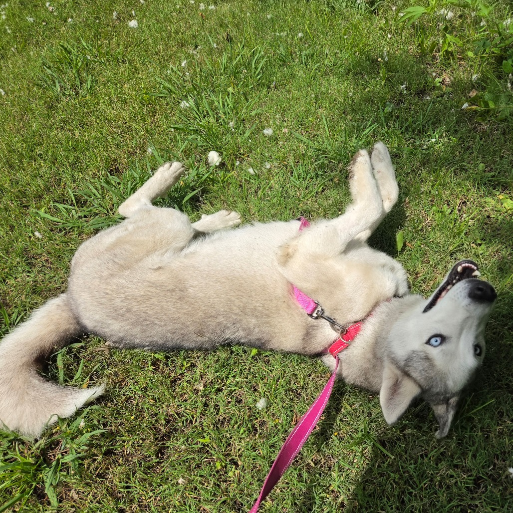 Casper photo 22