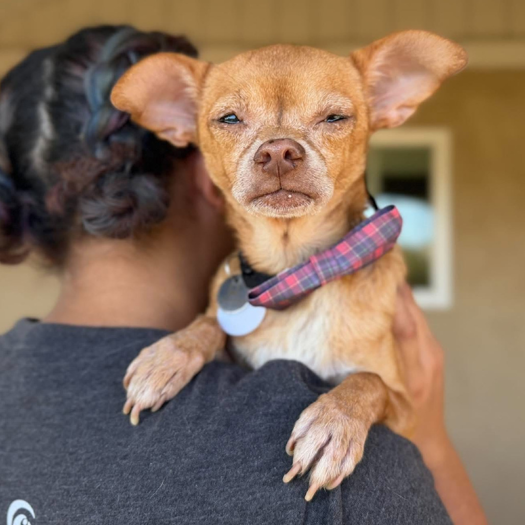 Chico
