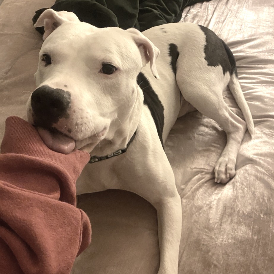 2bf3097fe57df1cda7f0c9633bc531ae