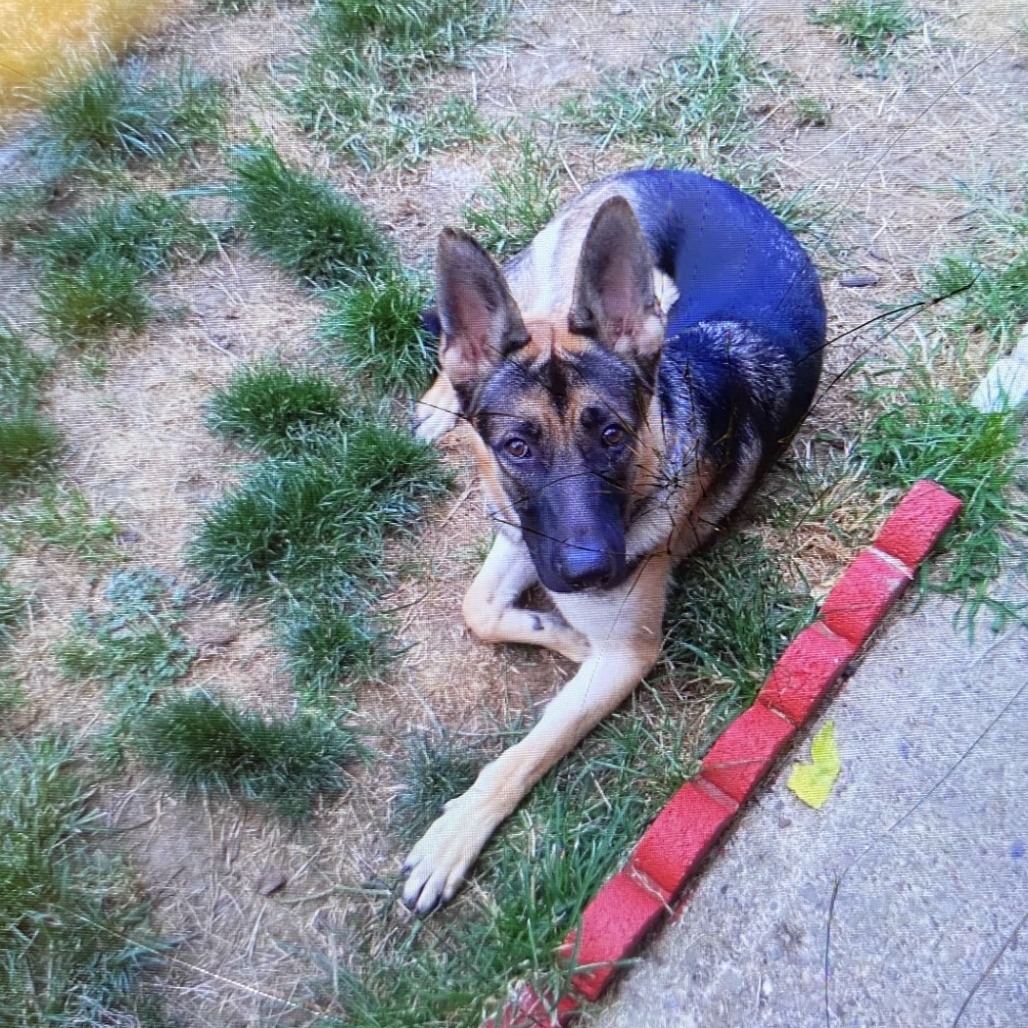 Photo of Jonah