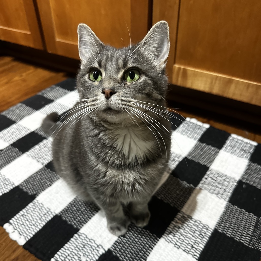 Kiara