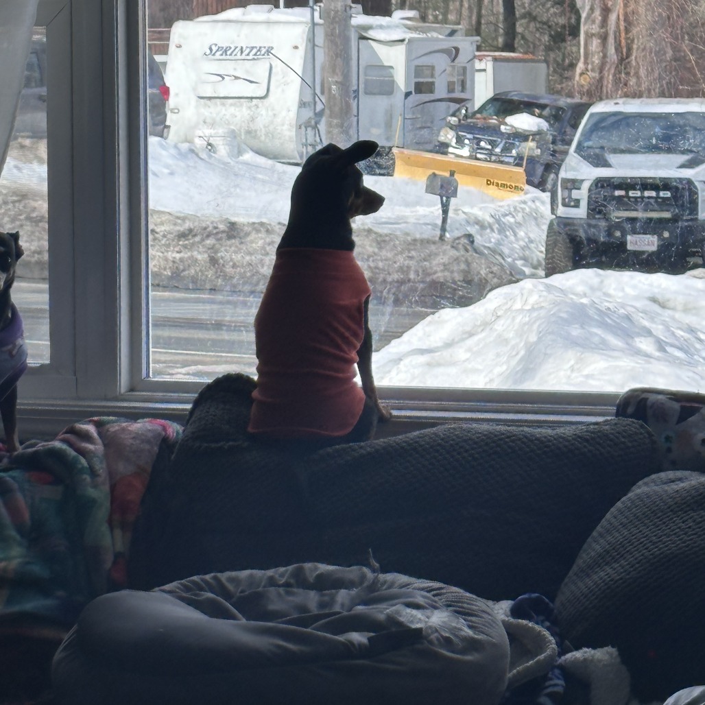 Daisy-In Foster — thumbnail 11