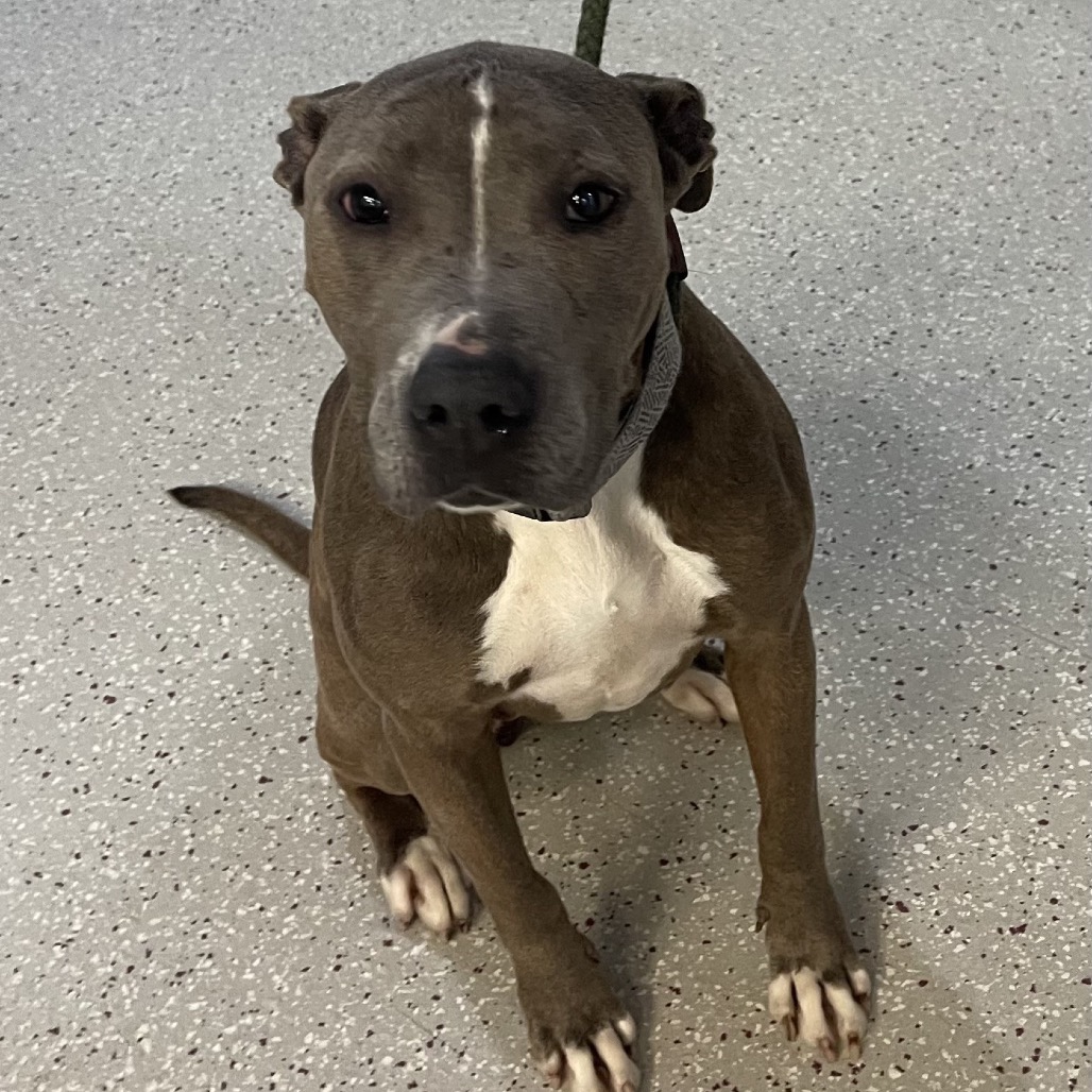 Chrissy — thumbnail 3