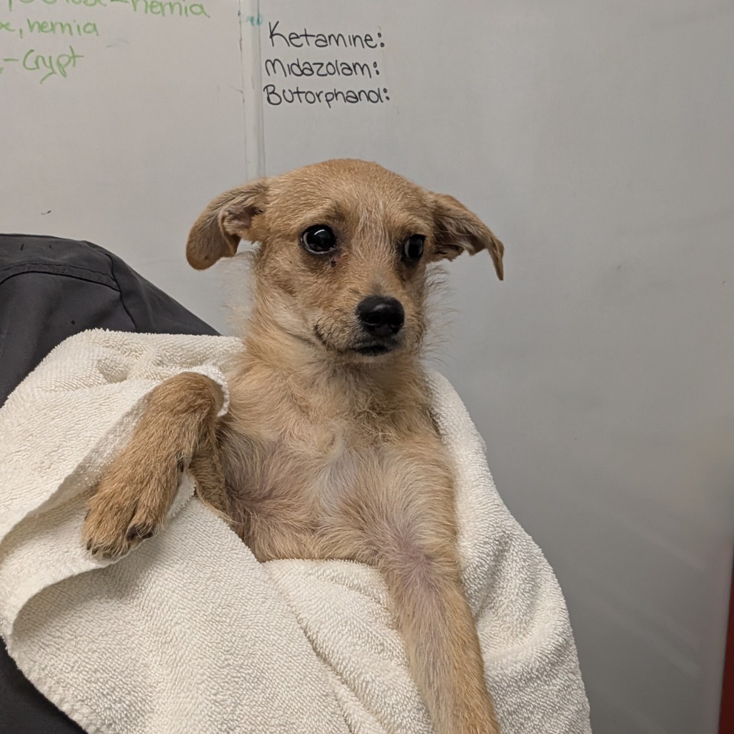 Naga — thumbnail 2