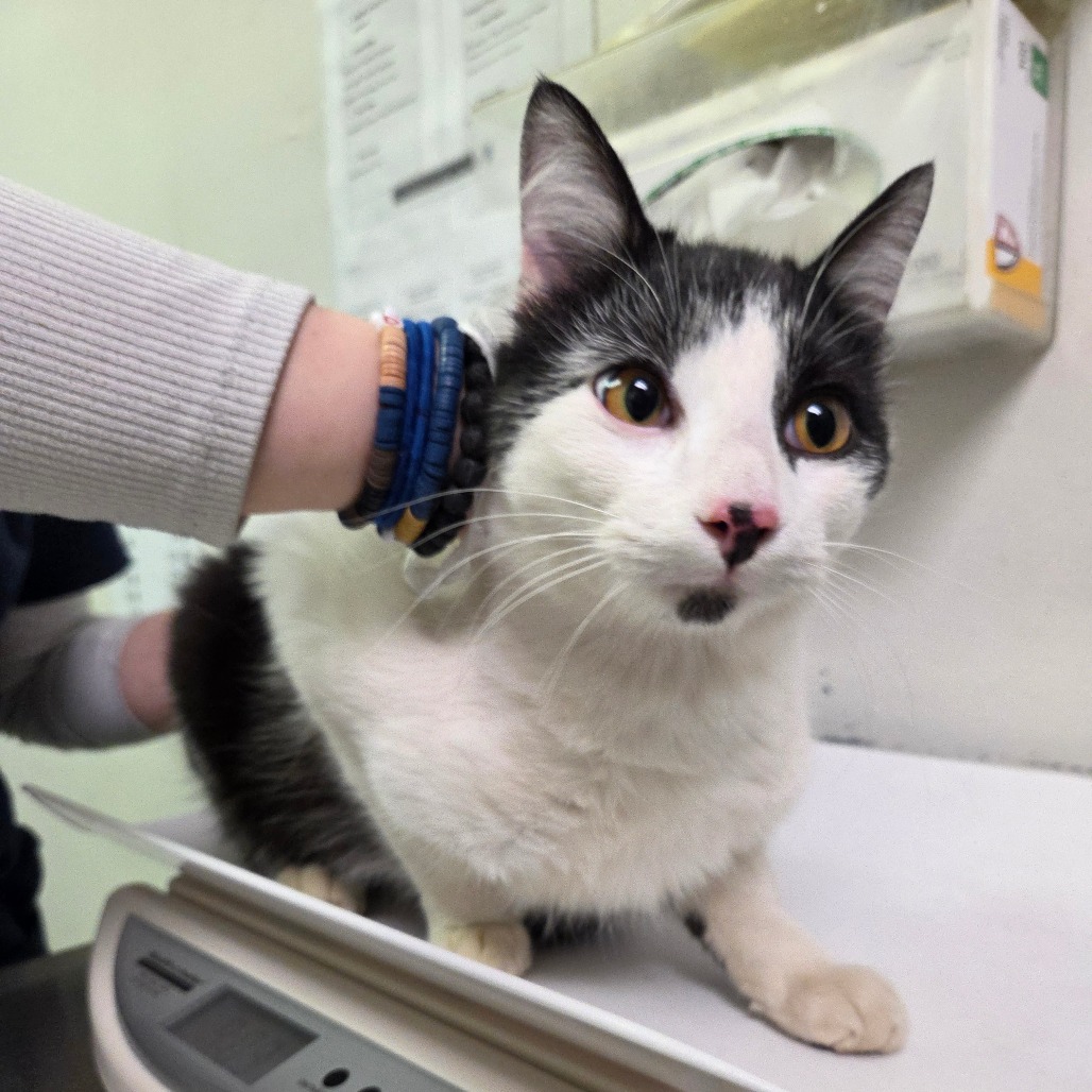 Benson Boone — thumbnail 2