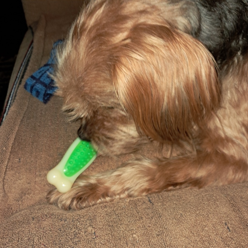 Chuey, photo 9