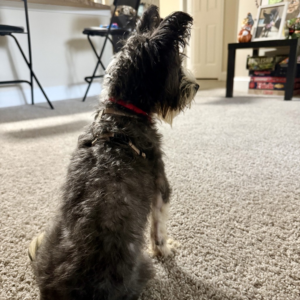 Sally, photo 20
