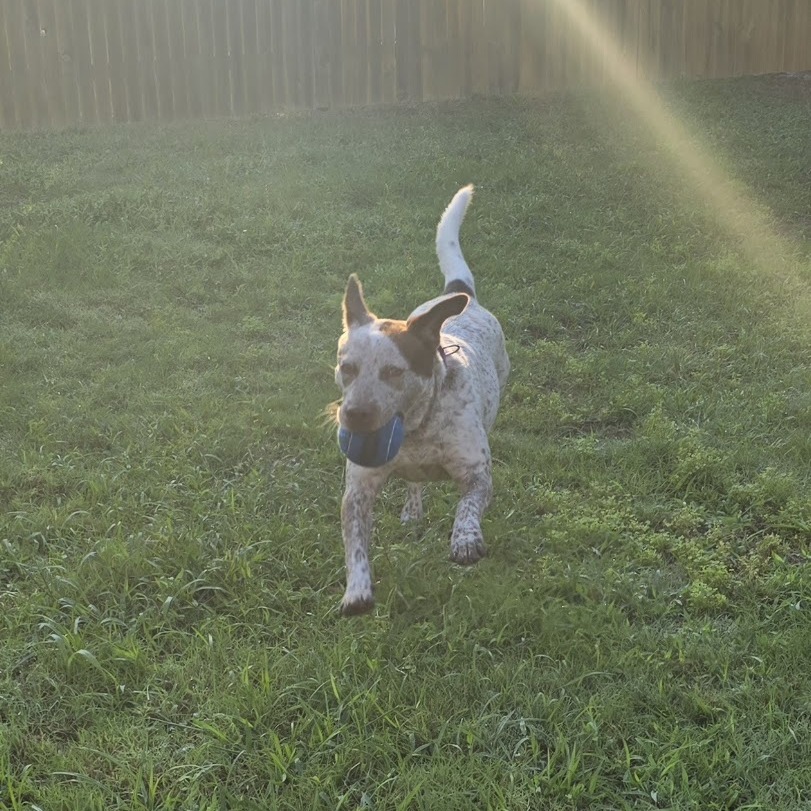 LIL SEBASTIAN, photo 27